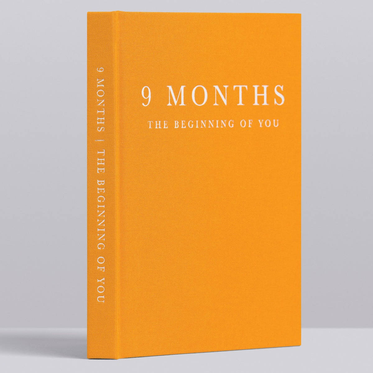 9 Months, Pregnancy Journal