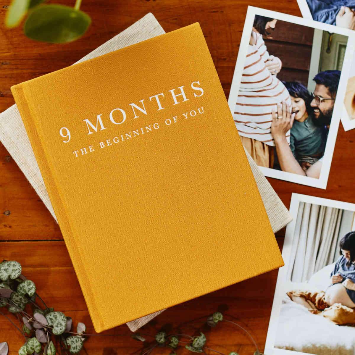 9 Months, Pregnancy Journal